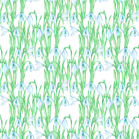 Seamless pattern with watercolor snowdrop flowers, made by hand and highlighted on a white background. Illustration of a spring flower. Template for the design of postcards, banners, invitationsの写真素材