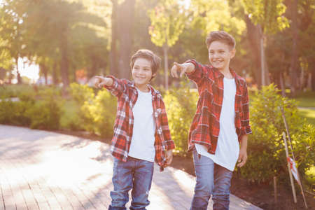 Two pretty brothers of Caucasian nationality standing in the sunny summer park on skateboards. Dressed in jeans and plaid red shirts with white T-shirts. Ponting fingers to camera and laughing.の写真素材