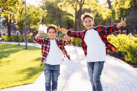 Two cute boys brothers riding skateboards in a public park on a sunny afternoon. alance, arms apart. Balancing, arms apart. Happy children of 7 and 9 years having fun on vacation.の写真素材