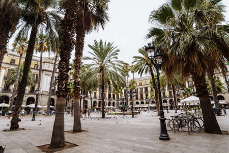Barcelona Spain September 2021. One of the most beautiful tourist spots in Barcelona with many cafes and palm trees is the Royal Plaza Real. Beautiful city. Nice walks along the narrow old streetのeditorial素材