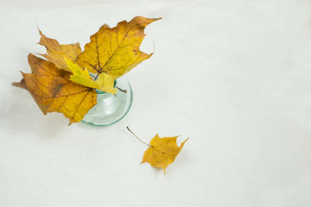 Autumn mood.の写真素材