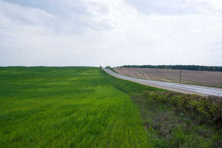 In the beginning, springs are planted with wheat and potatoes and the land becomes beautiful and fresh green.の写真素材