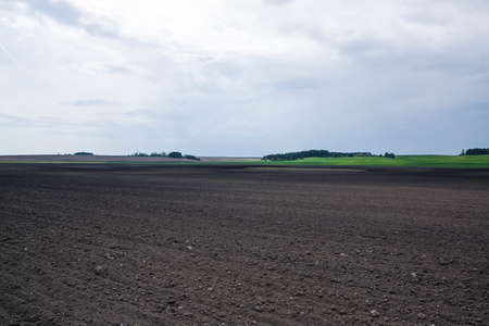 In the beginning, springs are planted with wheat and potatoes and the land becomes beautiful and fresh green.の写真素材