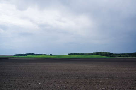 In the beginning, springs are planted with wheat and potatoes and the land becomes beautiful and fresh green.の写真素材