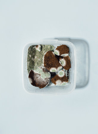 Plastic square container with mold and dirt in coffeeの写真素材