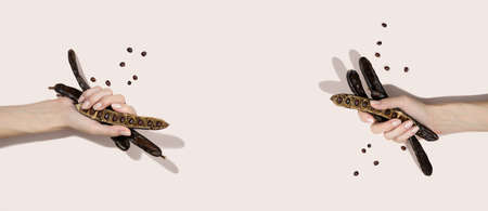 Organic carob pods, powder and carob molasses on a beige background, locust bean healthy food, Ceratonia siliqua harnup. Natural vegan eating. creative food background. Copy space.Flat lay.Top viewの写真素材