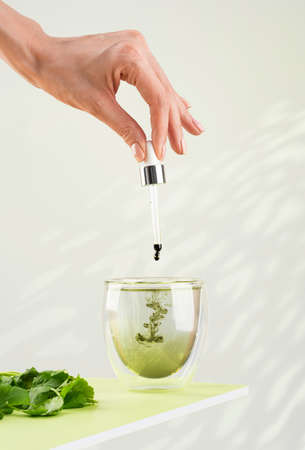Mixing water and liquid chlorophyll with dropper. Fresh herbs and green towel on a table. Concept of superfood, eating healthy, detox and diet. White sunlight background. copy spaceの写真素材