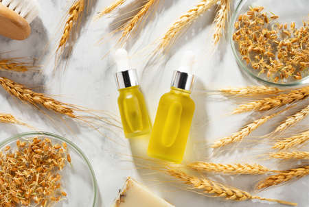 Conceptual composition of wheat essential oils and wheat sprouts on a marble table. Oil with serum for skin and hair care. Bottles of body oil with a dropper. Selfcare, wellness, organic treatment.の写真素材