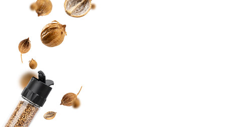 Levitation Spice Jar with Organic dried coriander seeds float on a white background. Floating in the air food modern Creative concept. Spicy and Fragrant Seasoning. Flying set of spices. copyspace.の写真素材