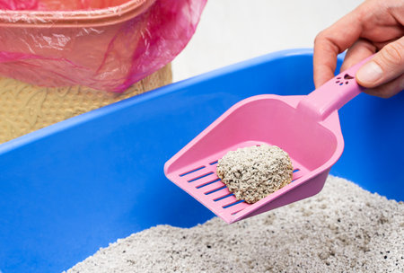 Clumping Bentonite Cat Litter on pink scoop. Cleanliness, pet care and hygiene conceptの写真素材