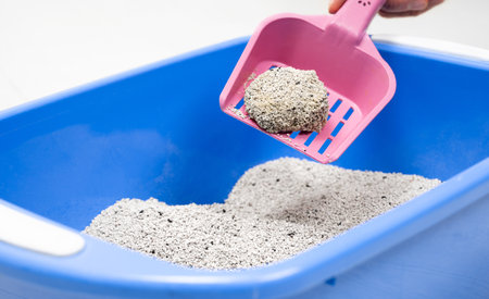 Clumping Bentonite Cat Litter tray on pink scoop at home. Cleanliness, pet care and hygiene conceptの写真素材