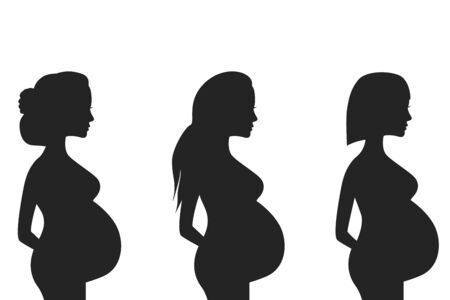 Silhouette of a pregnant woman set isolated on a white background. Vector illustration.のイラスト素材