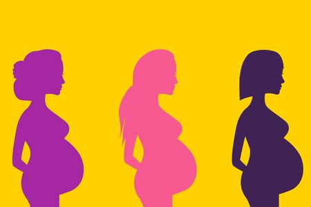 Pregnant woman silhouettes. Vector illustration.のイラスト素材
