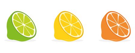 Citrus Set - Lemon, Orange and Lime Isolated on White Background.のイラスト素材
