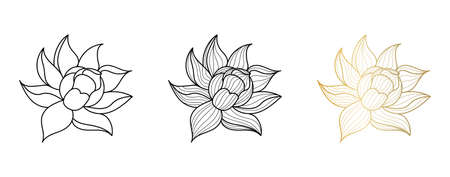 Set Lotus icon line style. Lotus black and gold isolated on white background, vector illustration.のイラスト素材
