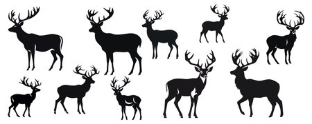 Set of wild deer silhouettes in flat style isolated on white background. vector illustrationのイラスト素材