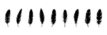 Feather Set icon, logo isolated on white background. Vector illustrationのイラスト素材