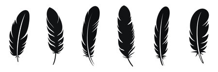 Feather Set icon, logo isolated on white background. Vector illustrationのイラスト素材