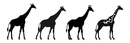 Set of giraffe silhouettes. giraffe isolated. Vector illustrationのイラスト素材