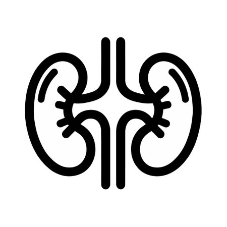 Kidney linear icon isolated. Vector illustrationのイラスト素材