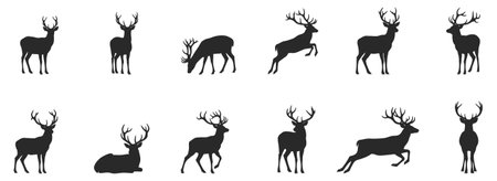 set of silhouettes of christmas deer on white background.のイラスト素材