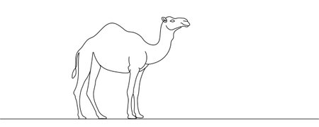 One line drawing of a camel on a white background. Editable lineのイラスト素材