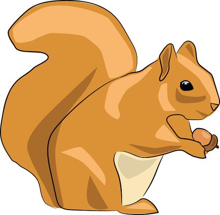 Illustration squirrel with acorn for games, cartoons, logoのイラスト素材