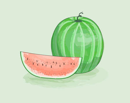 Watermalon, and slice watercolor with ink solid outline. Juicy, fresh fruit.のイラスト素材