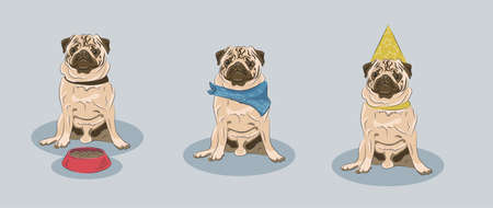 A set of pug in different costumes: one wearing bandana, another con and the last one has a bowl with food. Good for veterinar, dog's barber shop or food.のイラスト素材