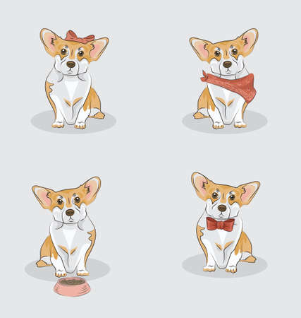 A set of corgi in different costumes: one wearing bandana, another bow tie, one more has a bowl  and the last one is a girl wearing a bow. Good for veterinar, dog's barber shop or food.のイラスト素材
