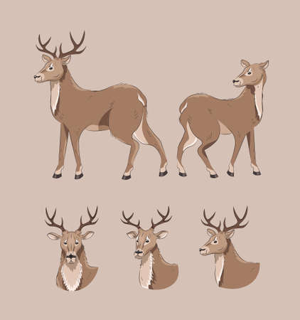 Set of deer. Different views from different sides. Deer head in different positions. Cartoon stylewith black solid outline.のイラスト素材