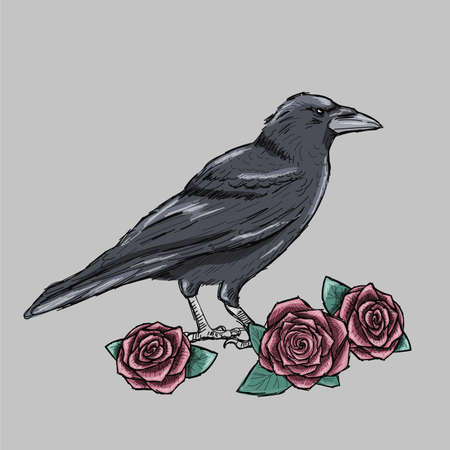 Hand drawn crow with red roses tattoo sketch. Ink black outline with white bleaks. Gothic, romantic mood.のイラスト素材