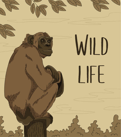 Brown chimp sitting on the tree. wild life. Hand drawn, cartoon, comics style.のイラスト素材