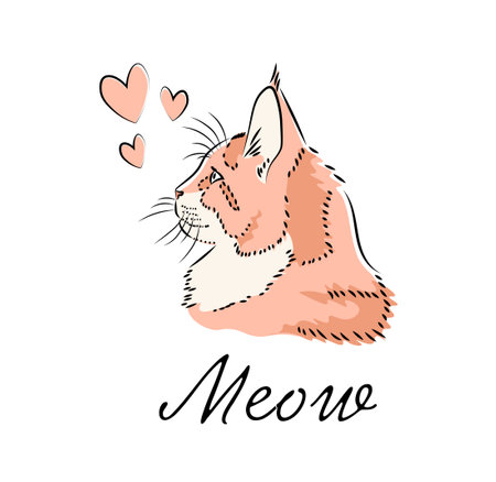 Cat logo portrait side view. Tender, healthy and cute tabby kitten. Logo, label.のイラスト素材