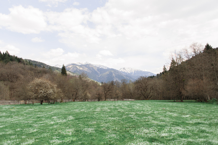 Mountains in the Caucasus Russia, the top in the snowの写真素材