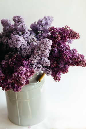 Beautiful purple bouquet of lilac flowers in a stylish vase on a white backgroundの写真素材