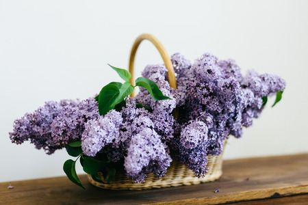 purple lilac flowers bunch in a basket on wooden table on white backgroundの写真素材