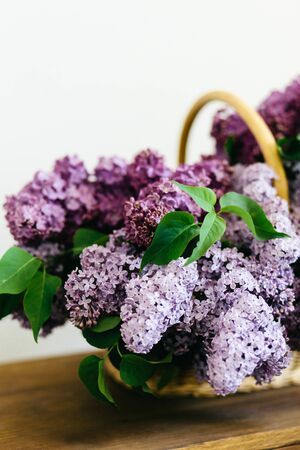 Purple lilac flowers bunch in a basket on wooden table on white backgroundの写真素材