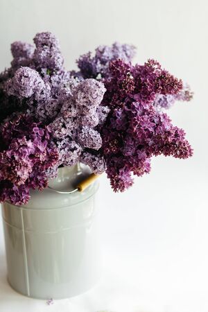 Beautiful purple bouquet of lilac flowers in a stylish vase on a white backgroundの写真素材