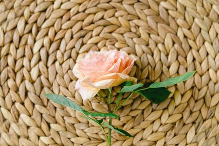 Coloful roses in vase on a nature wicker napkin on white backgroundの写真素材