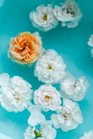 stunning floral texture of roses in water on blue background, nature flowersの写真素材