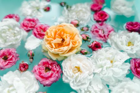 stunning floral texture of roses in water on blue background, nature flowersの写真素材