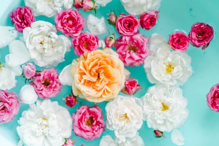 stunning floral texture of roses in water on blue background, nature flowersの写真素材