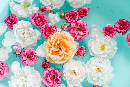 stunning floral texture of roses in water on blue background, nature flowersの写真素材