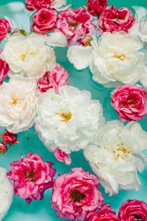 stunning floral texture of roses in water on blue background, nature flowersの写真素材