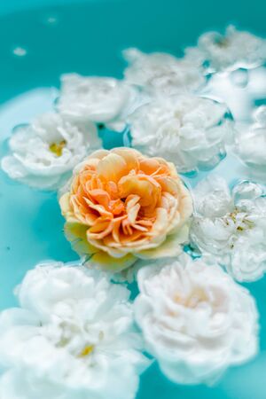 stunning floral texture of roses in water on blue background, nature flowersの写真素材