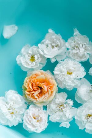 stunning floral texture of roses in water on blue background, nature flowersの写真素材