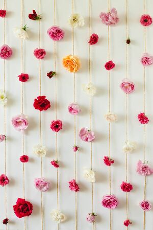 stunning floral texture of rose buds on white wall, nature flowersの写真素材