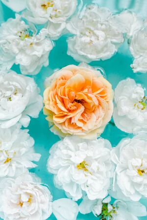 stunning floral texture of roses in water on blue background, nature flowersの写真素材
