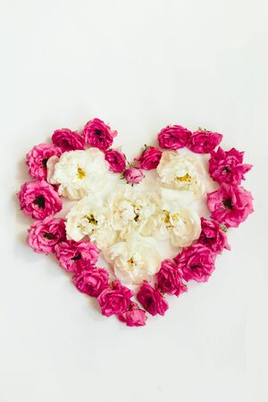 heart of pink roses on white background, nature heartの写真素材